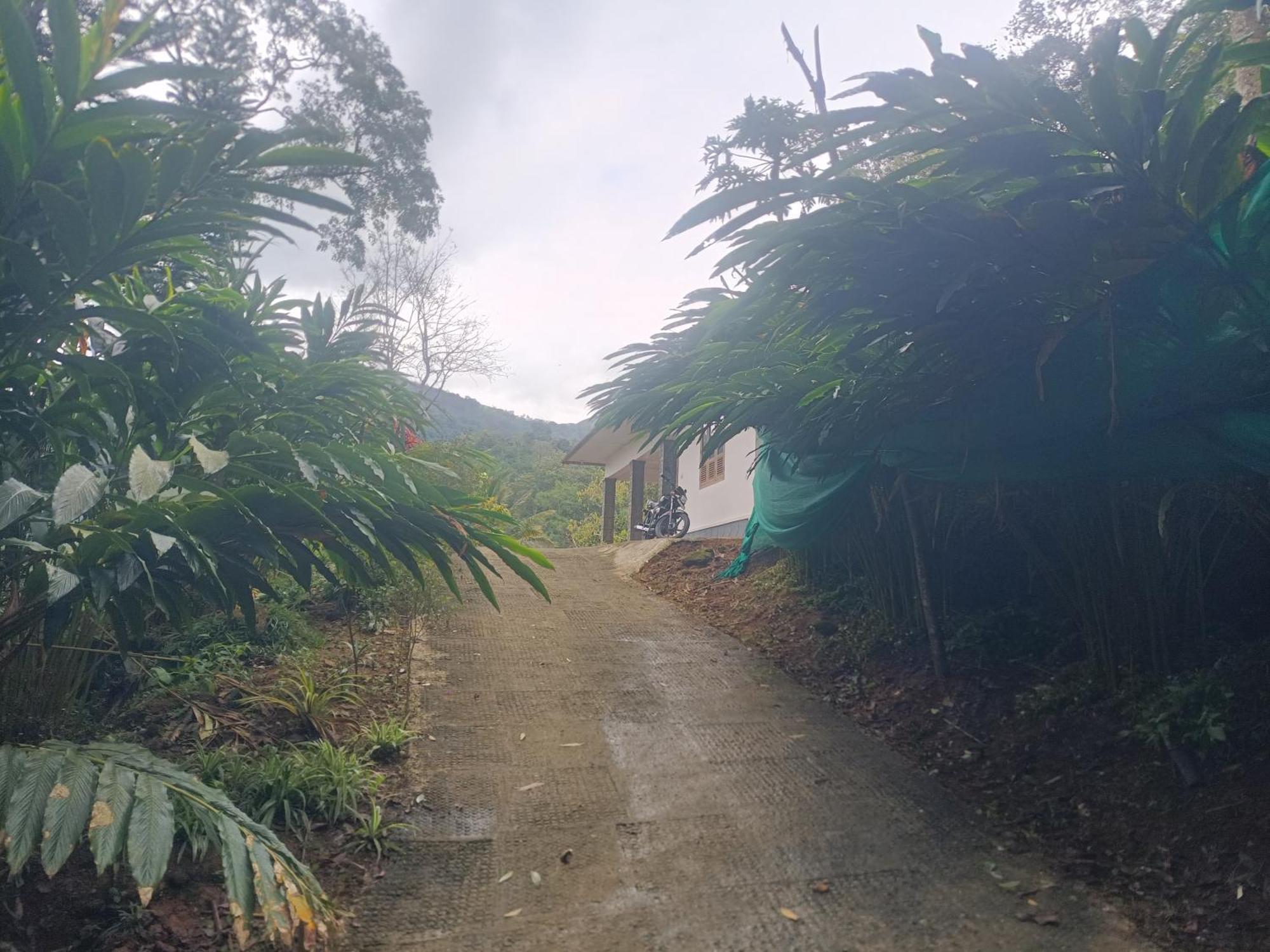 Anivilla Holiday Home Kunjithanny Anachal エクステリア 写真